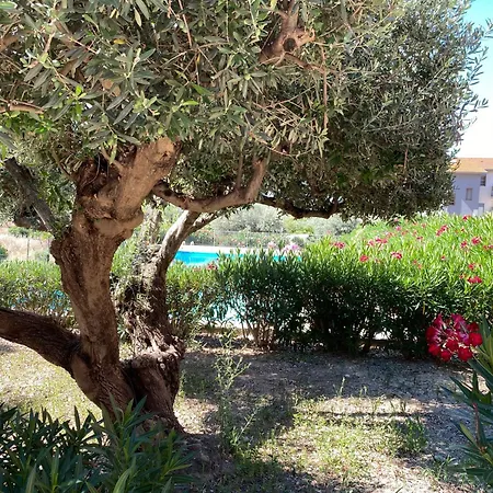 - Sleeps 3 & Swimming Pool Appartement Realmonte