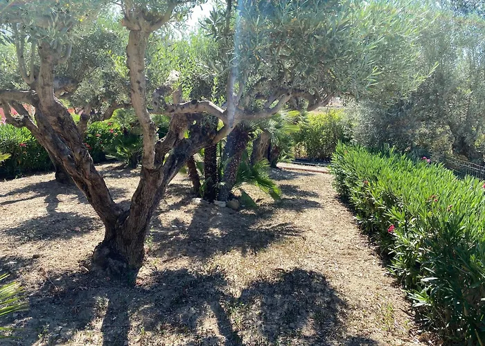 - Sleeps 3 & Swimming Pool