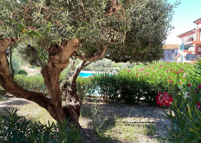 - Sleeps 3 & Swimming Pool Apartament Realmonte